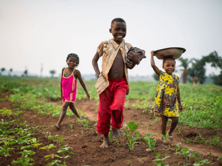Nutrition-Sensitive Agriculture